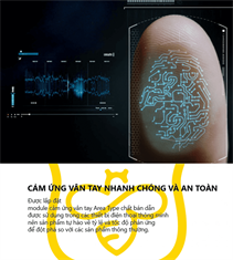 Sự thật khóa cửa vân tay có an toàn hay không?